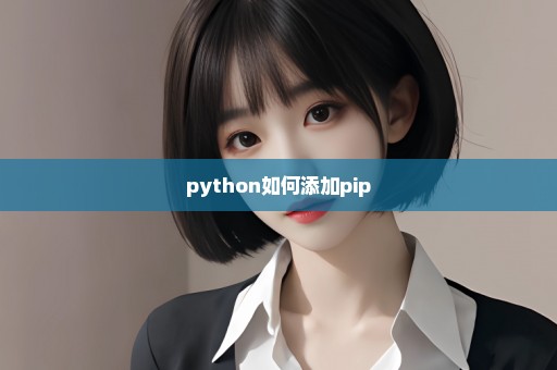 python如何添加pip