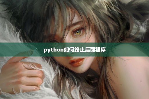 python如何终止后面程序