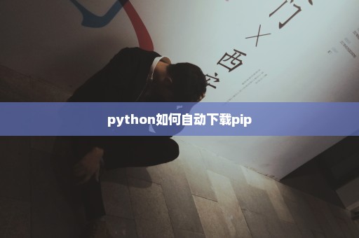 python如何自动下载pip