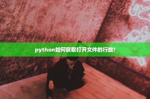 python如何获取打开文件的行数?