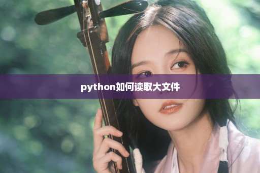 python如何读取大文件