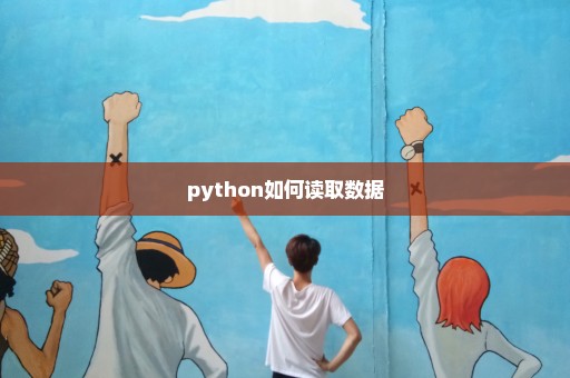 python如何读取数据