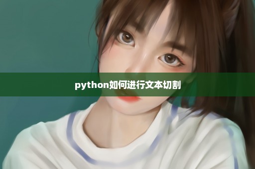 python如何进行文本切割