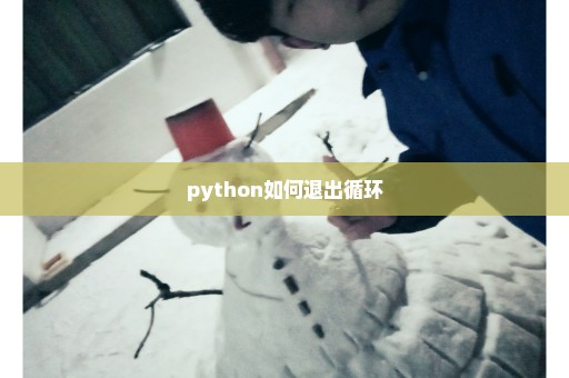 python如何退出循环