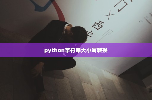 python字符串大小写转换