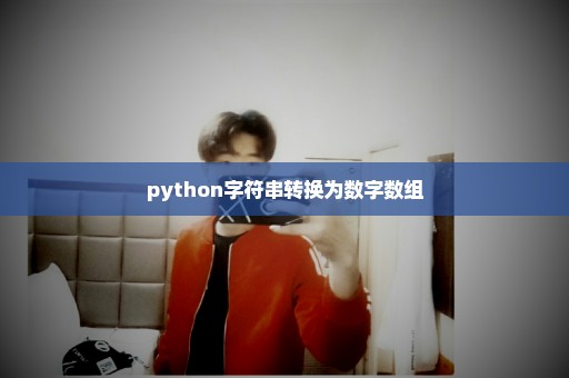 python字符串转换为数字数组