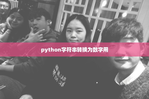 python字符串转换为数字用