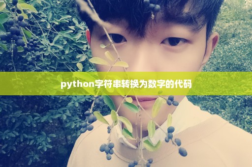 python字符串转换为数字的代码