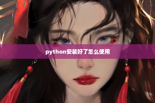 python安装好了怎么使用