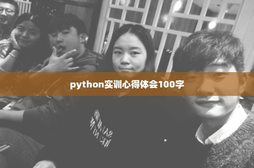 python实训心得体会100字
