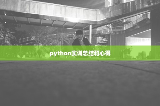 python实训总结和心得