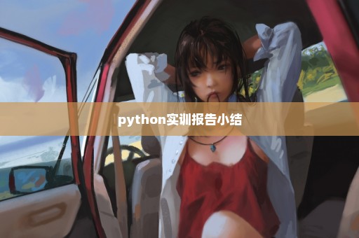 python实训报告小结