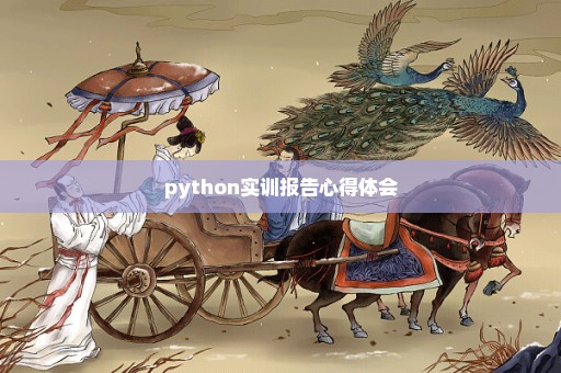 python实训报告心得体会