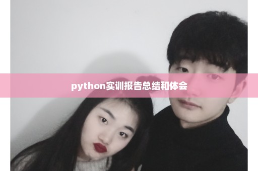python实训报告总结和体会