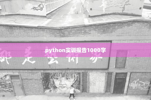 python实训报告1000字