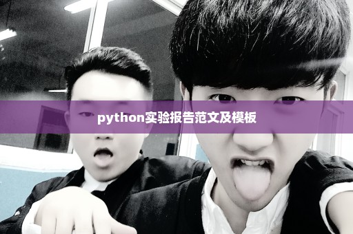 python实验报告范文及模板
