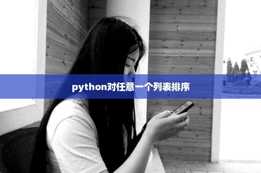python对任意一个列表排序