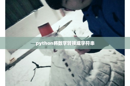 python将数字转换成字符串
