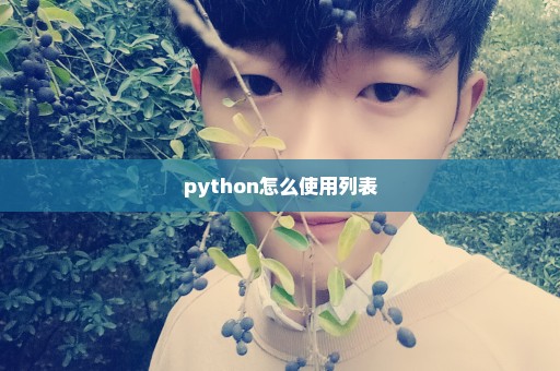 python怎么使用列表