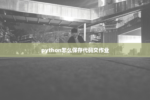 python怎么保存代码交作业