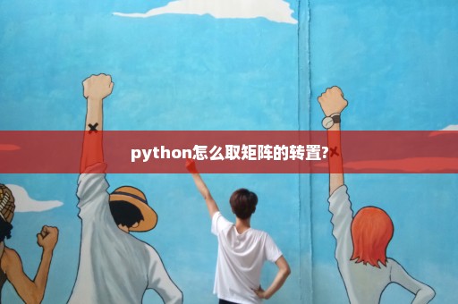 python怎么取矩阵的转置?