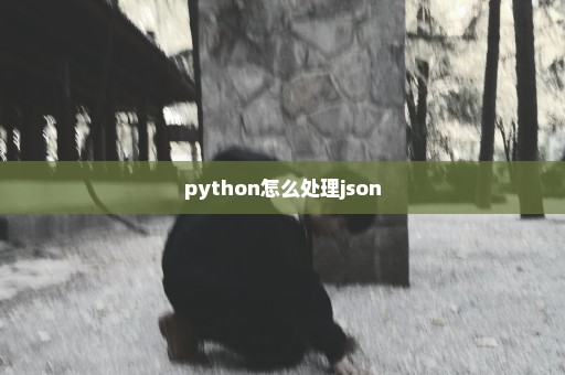 python怎么处理json