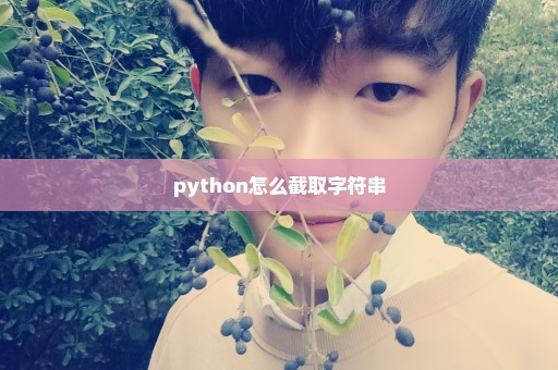 python怎么截取字符串