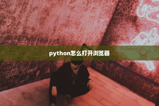 python怎么打开浏览器