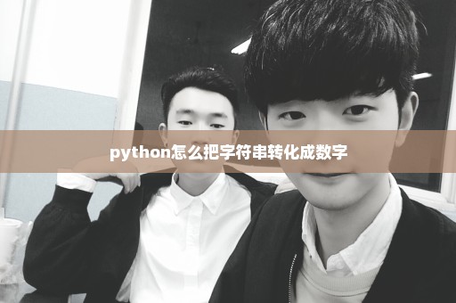 python怎么把字符串转化成数字