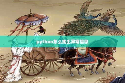 python怎么抛出异常信息