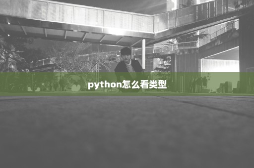 python怎么看类型
