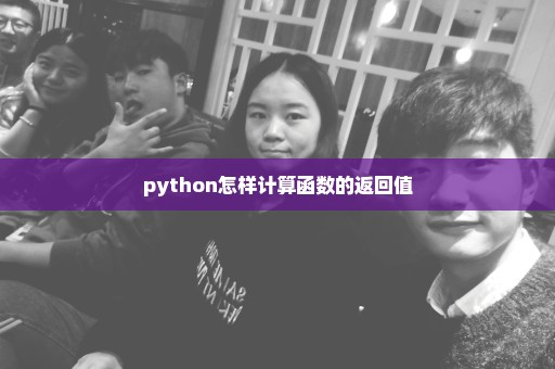 python怎样计算函数的返回值