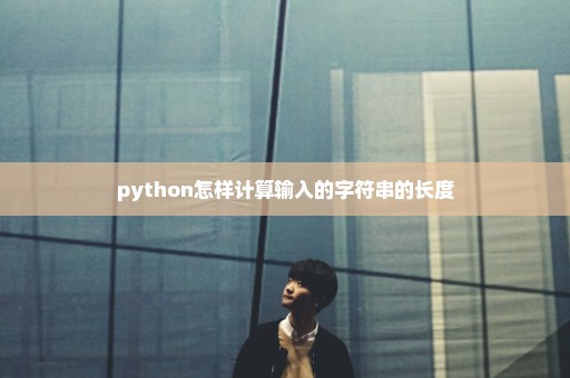python怎样计算输入的字符串的长度