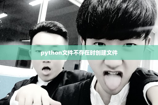 python文件不存在时创建文件