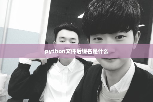 python文件后缀名是什么