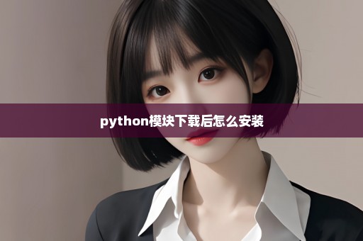 python模块下载后怎么安装