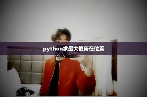 python求最大值所在位置