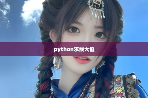 python求最大值