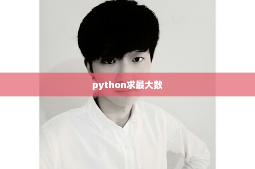 python求最大数