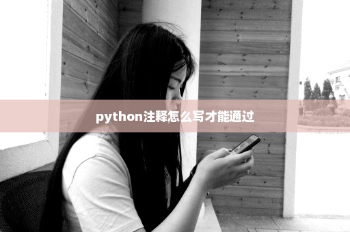 python注释怎么写才能通过