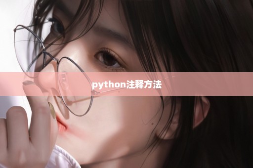 python注释方法