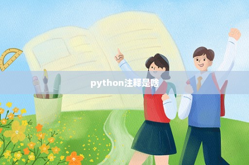 python注释是啥