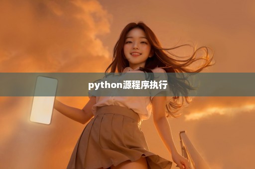 python源程序执行