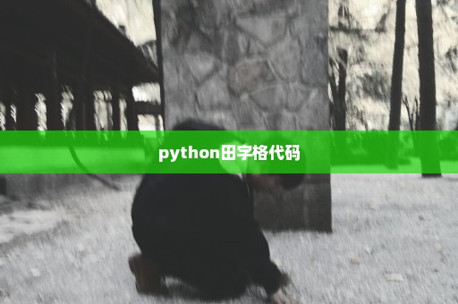 python田字格代码