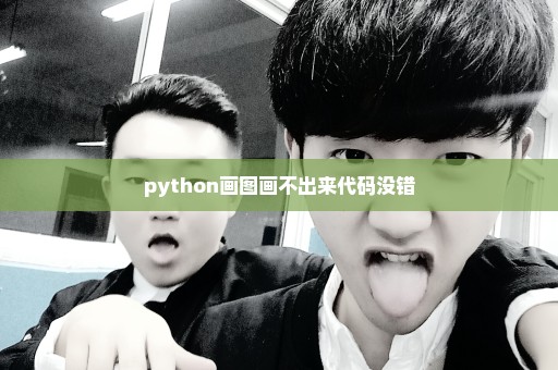 python画图画不出来代码没错