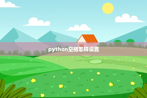 python空格怎样设置