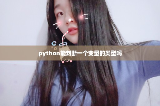 python能判断一个变量的类型吗