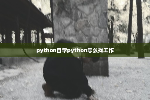 python自学python怎么找工作