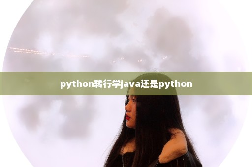 python转行学java还是python