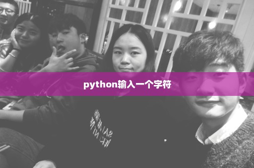 python输入一个字符